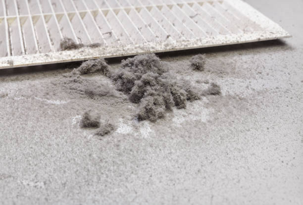 Air Duct Mold Removal in MS