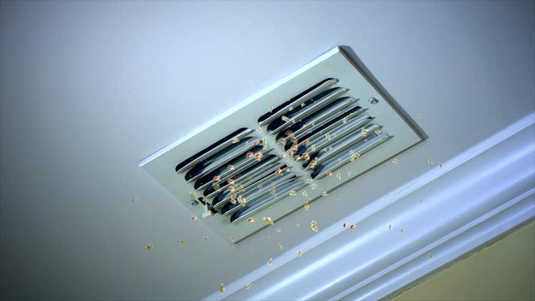 Best Affordable Air Duct Cleaning  in Kosciusko, MS