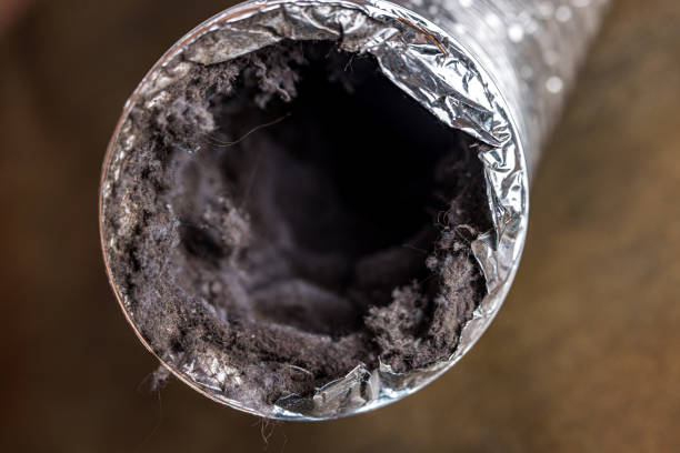 Best Affordable Duct Cleaning Services  in Kosciusko, MS